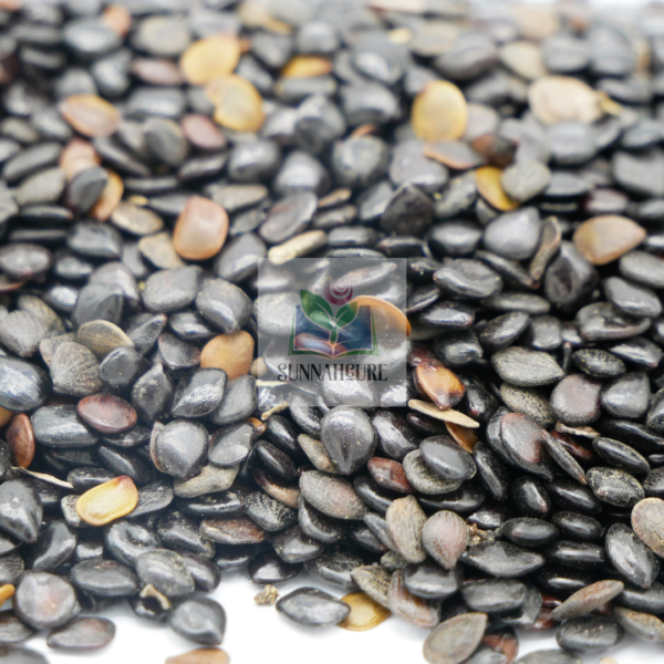 Saudi Black Seeds (Habbatul Sauda)