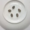B266C53C 6BB2 45C0 9C8E 2BF3F1412AF0